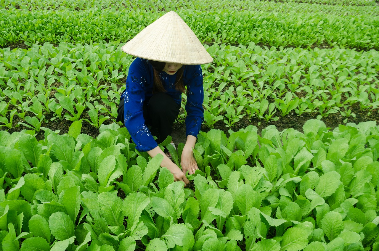 金灯寺最新动态，发展与变迁的轨迹